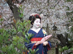 "舞妓さん"
