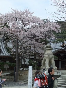 "清水寺の狛犬"