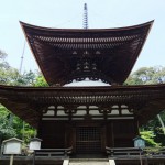 多宝塔 ”多宝塔”