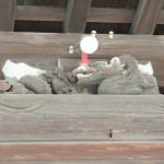 彫刻(龍) "彫刻(龍)"