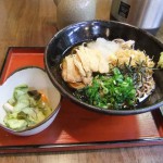 冷したぬき ”冷したぬき”