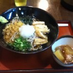 ”冷たぬき”