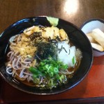 ”冷したぬき”