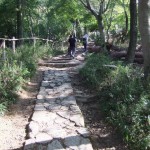 ”敷石の道”