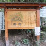 ”登山道案内板”