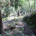 ”下山道荒廃”
