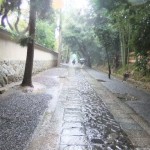 14大徳寺参道 "14大徳寺参道"