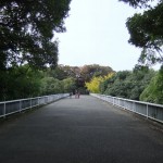陸橋 "陸橋"
