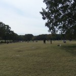 自然文化園 "自然文化園"