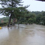 13雨でぬれる地面 "13雨でぬれる地面"