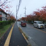"道路"