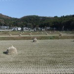 "08大分県の田園風景"