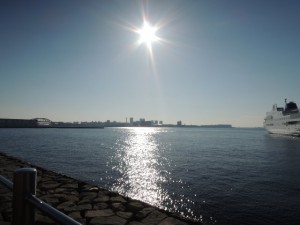 海