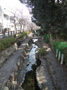 清水
