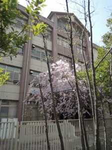 校舎