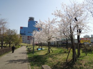 扇町公園