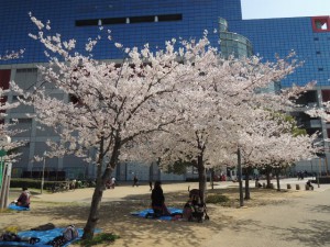 花見
