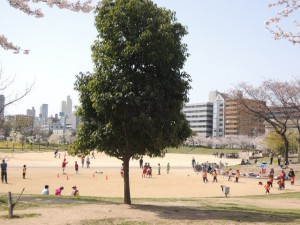 サッカー
