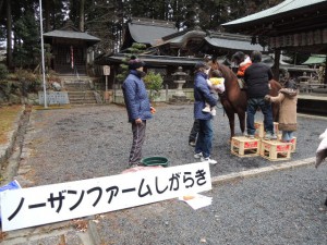 乗馬
