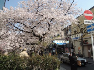 木屋町通り 木屋町通り