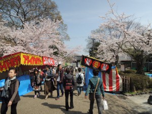 花見客