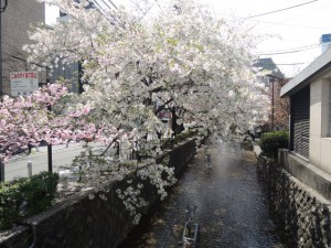 高瀬川
