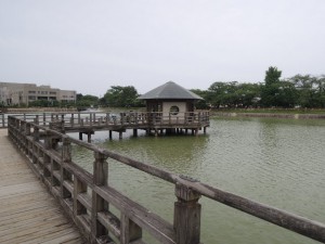八条が池