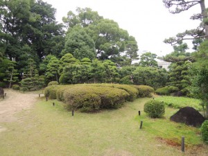 庭
