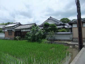農家