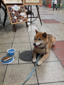 番犬
