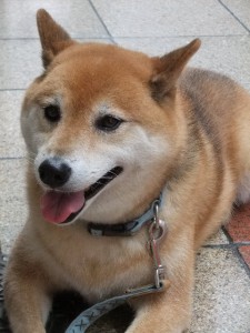 拡大