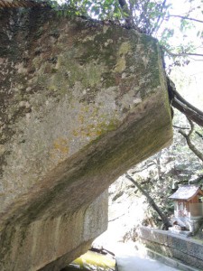 突起物