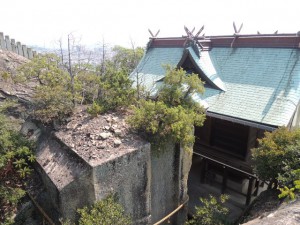 裏山からの眺め