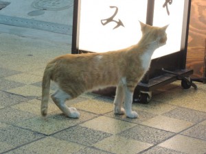 餌をもらえる？