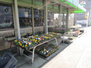 花屋