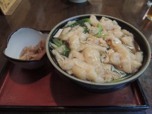 京たぬき
