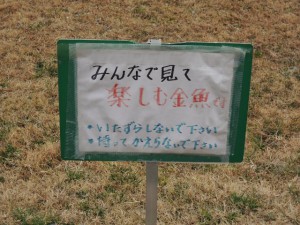 金魚