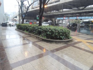 雨