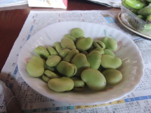 豆