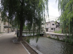 柳並木