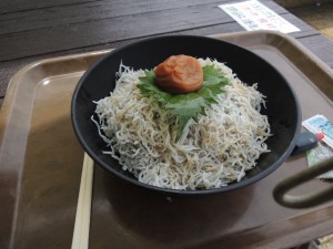 釜揚げしらす丼
