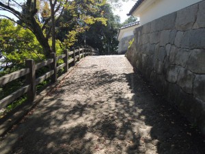 登り口(5)