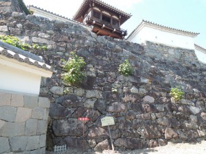 石垣