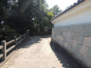 登り口(6)
