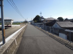 堤防上の道路