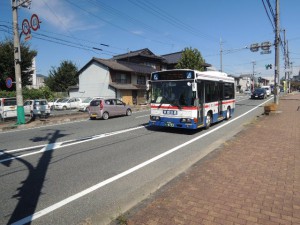 バス