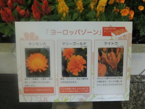 DSCN9241
