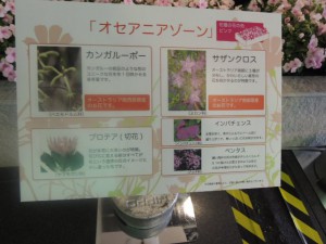 DSCN9247