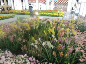 DSCN9248