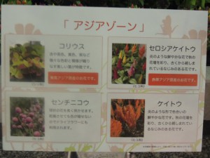 DSCN9255